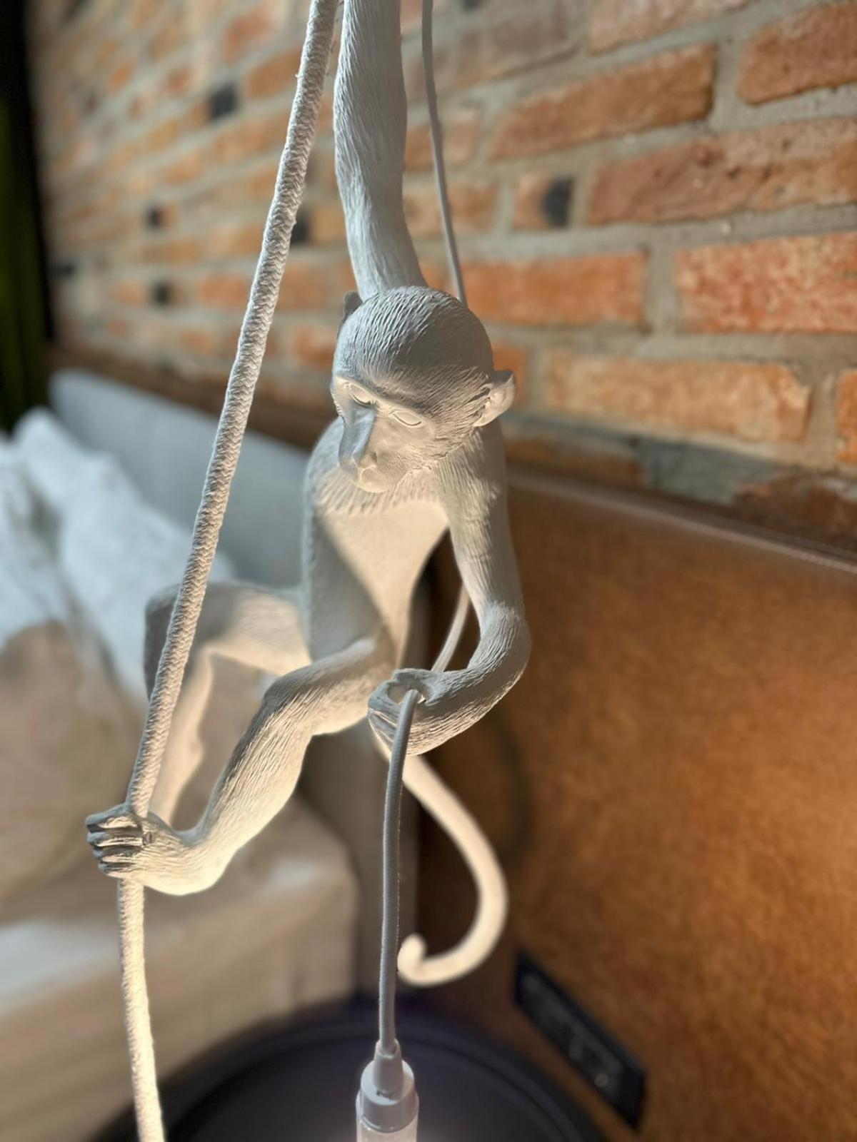 Hotel Nani Nani Boutique Brašov Exteriér fotografie