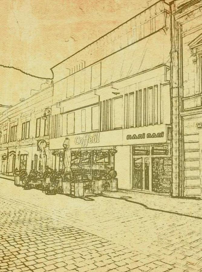 Hotel Nani Nani Boutique Brašov Exteriér fotografie